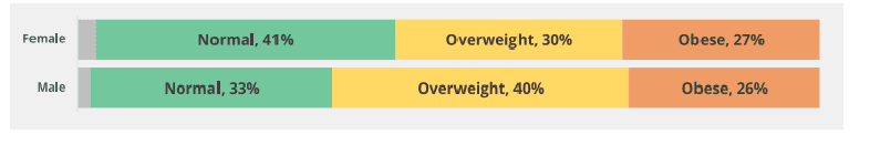 Obesity in England