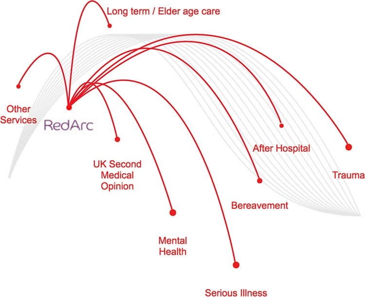 iamge of Red arc activities spider diagram