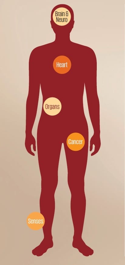 Image of critical illness categories